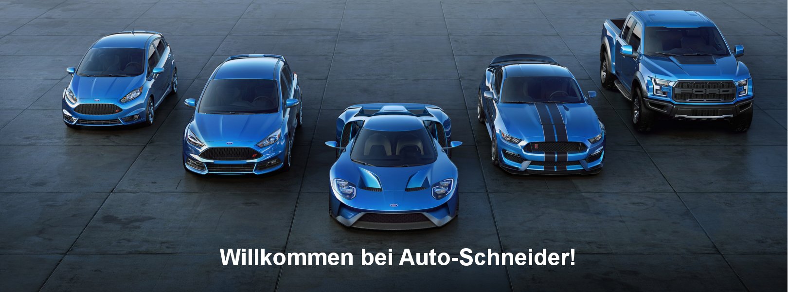 MeinAutoSchneider Persönlichkeit Begeisterung Präzision